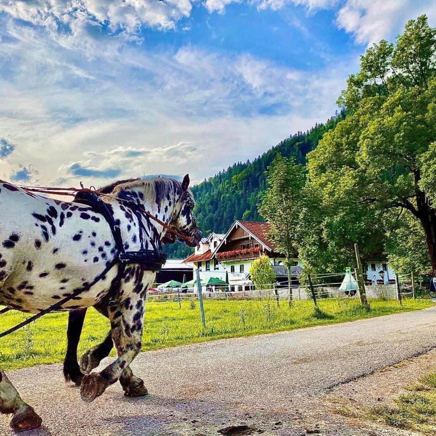 Апартаменты Gutshof Zum Schluxen Пинсванг Экстерьер фото