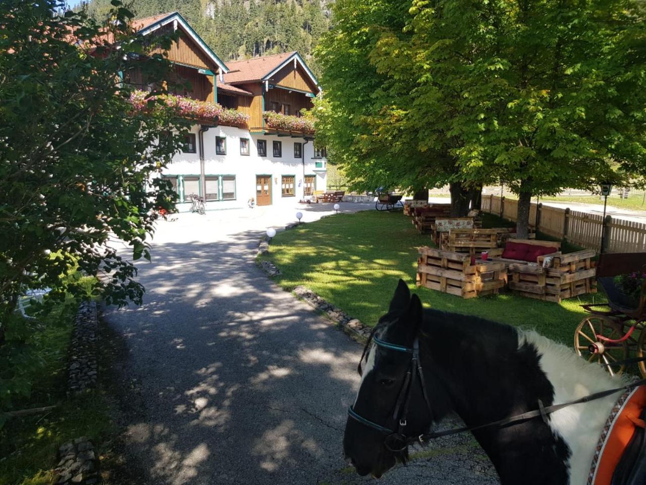 Апартаменты Gutshof Zum Schluxen Пинсванг Экстерьер фото