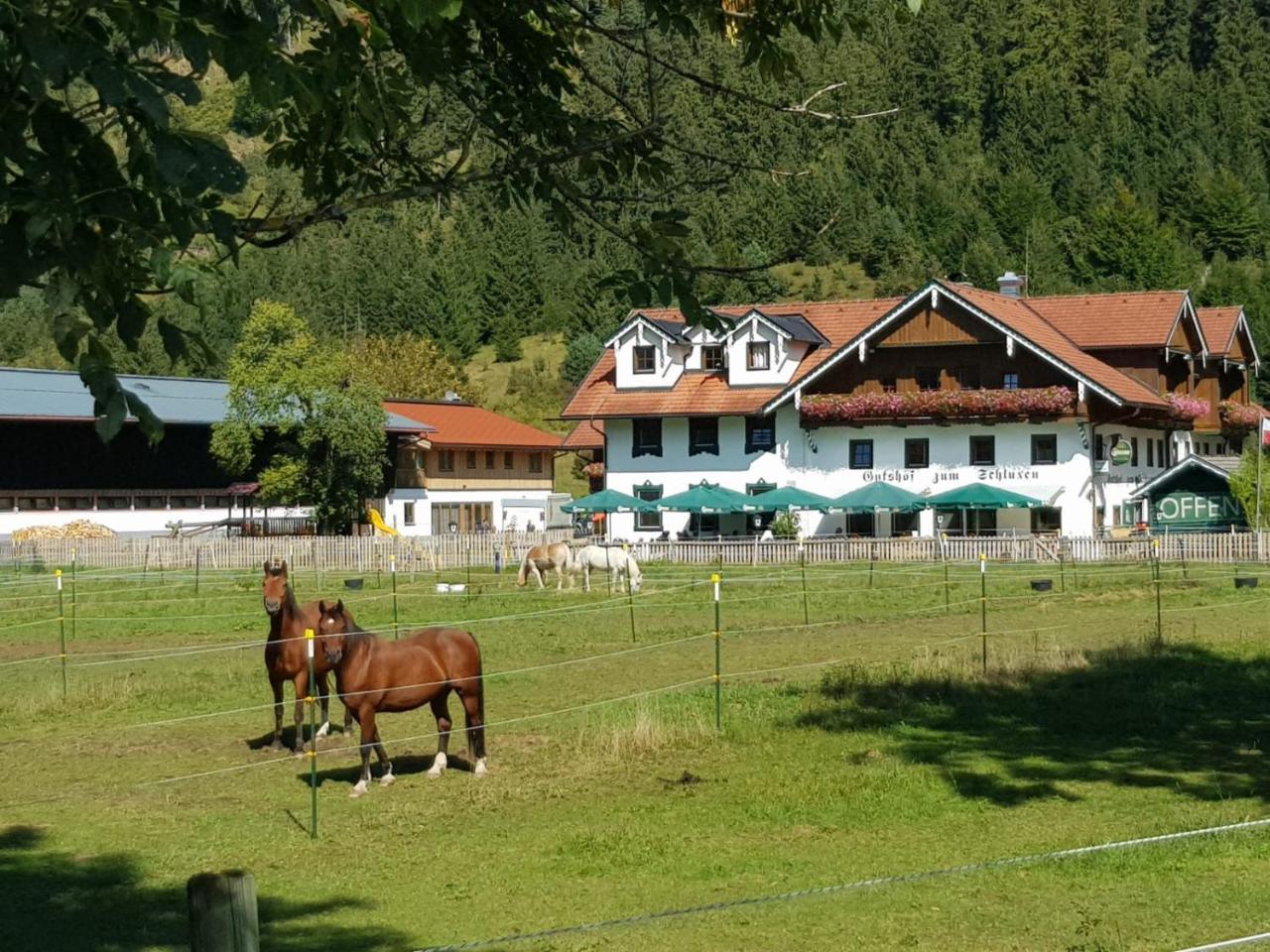 Апартаменты Gutshof Zum Schluxen Пинсванг Экстерьер фото